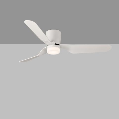 d54859645ca1c08f9d2b38194938